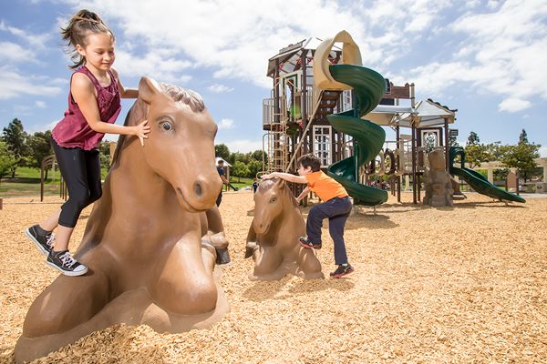 Playground Equipment for Landscape Architects