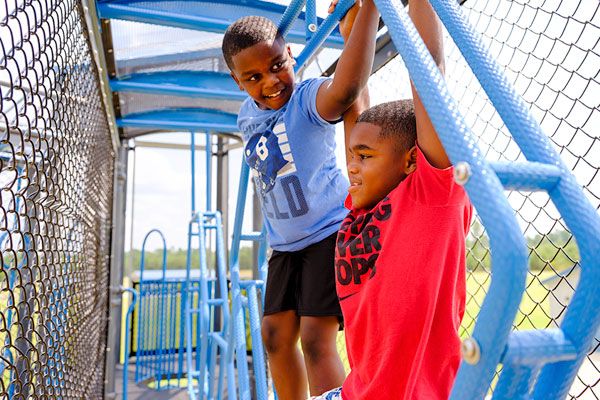 Products--XGEN_Components