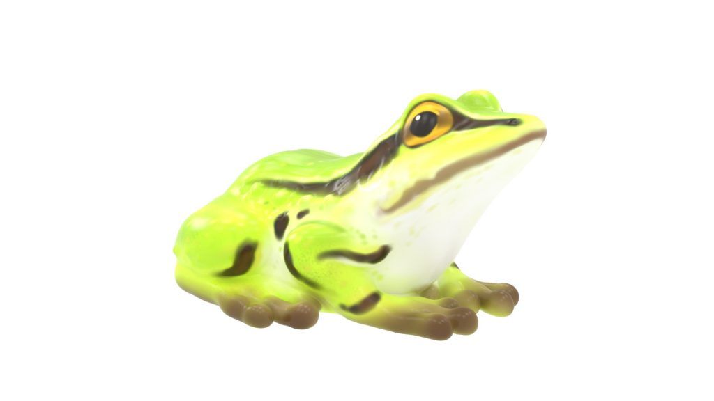 Frog Climber (MRTP2021M)
