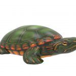 Tucson Turtle Climber (MRTP2020M)