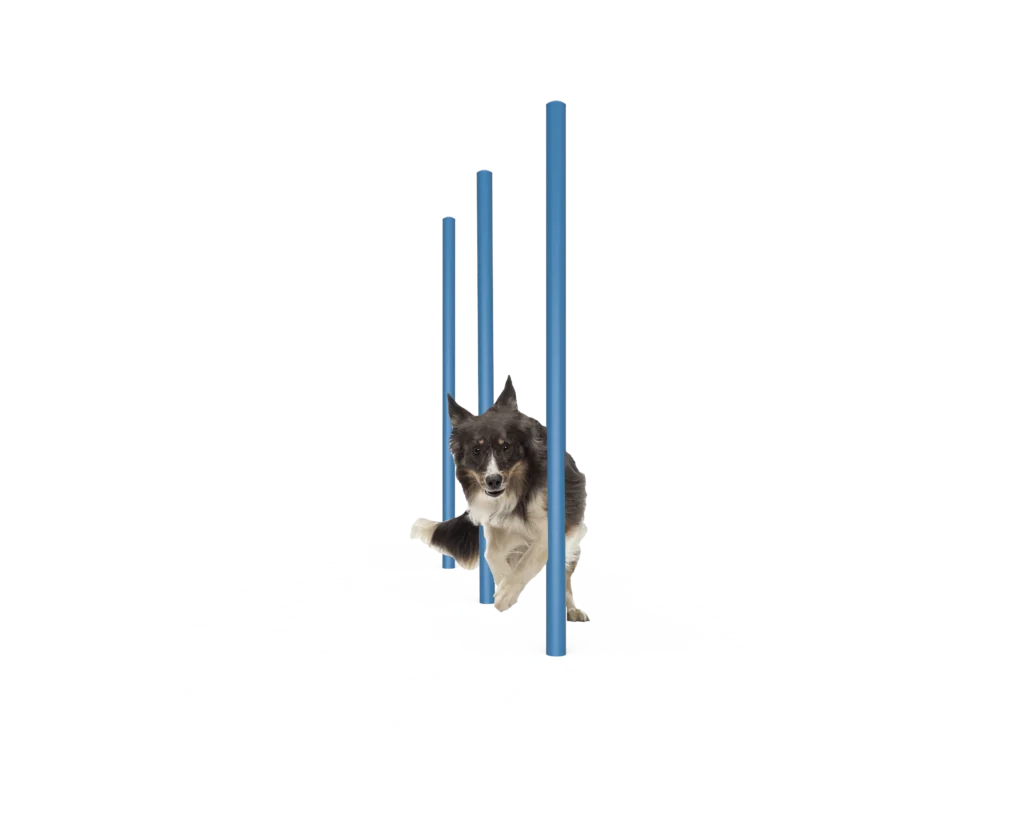 Dog Agility Weave Poles (MRDP06)