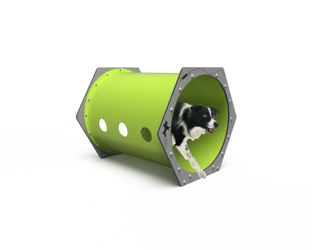 dog crawling through tunnel