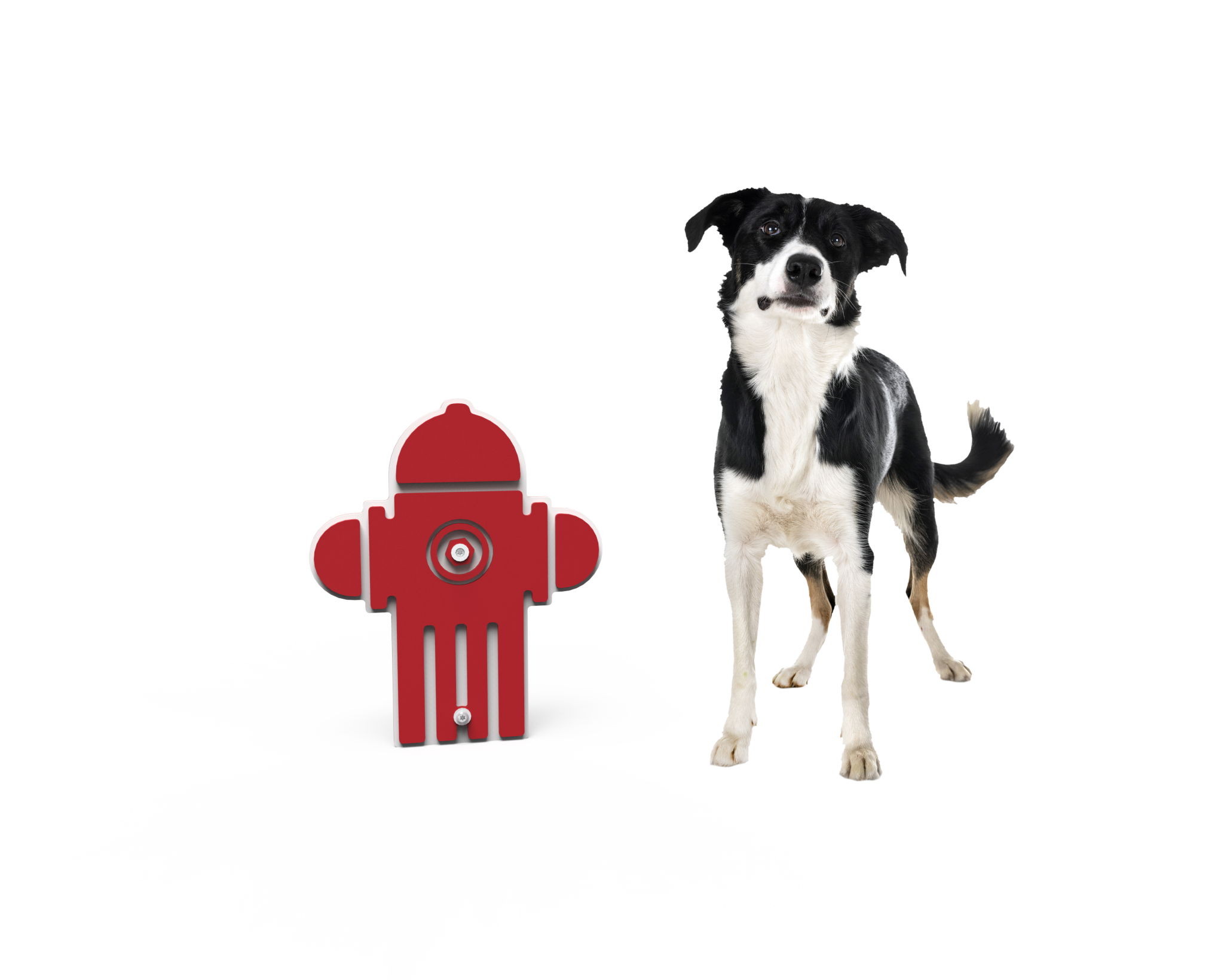 Dog Fire Hydrant Miracle Recreation