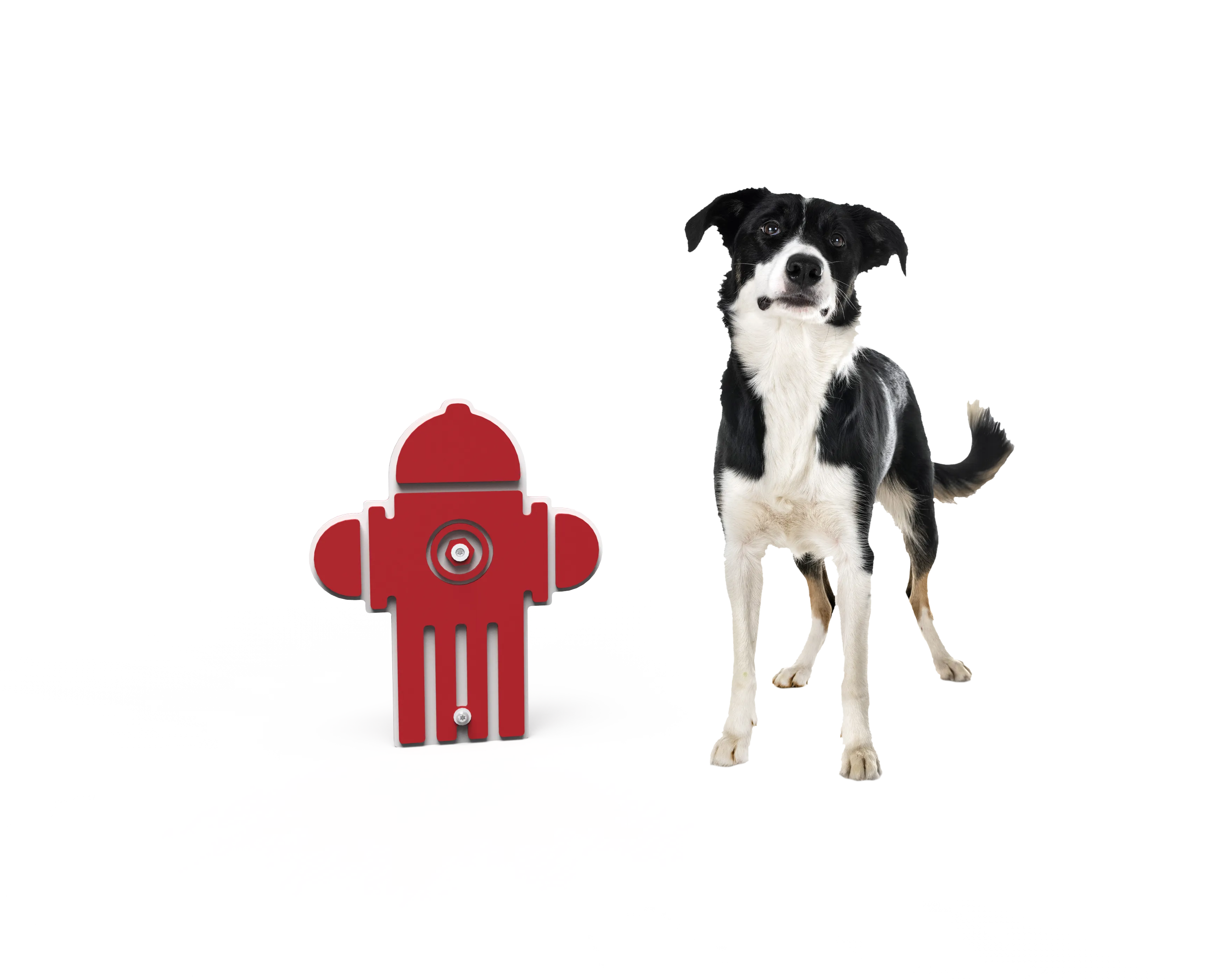 Dog fire hydrant exercise cheap