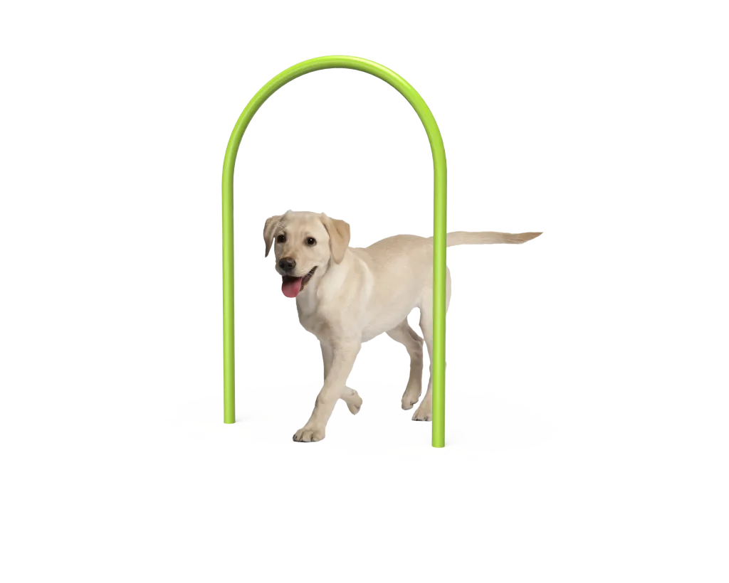 Are Dogs Allowed In Labrador Park