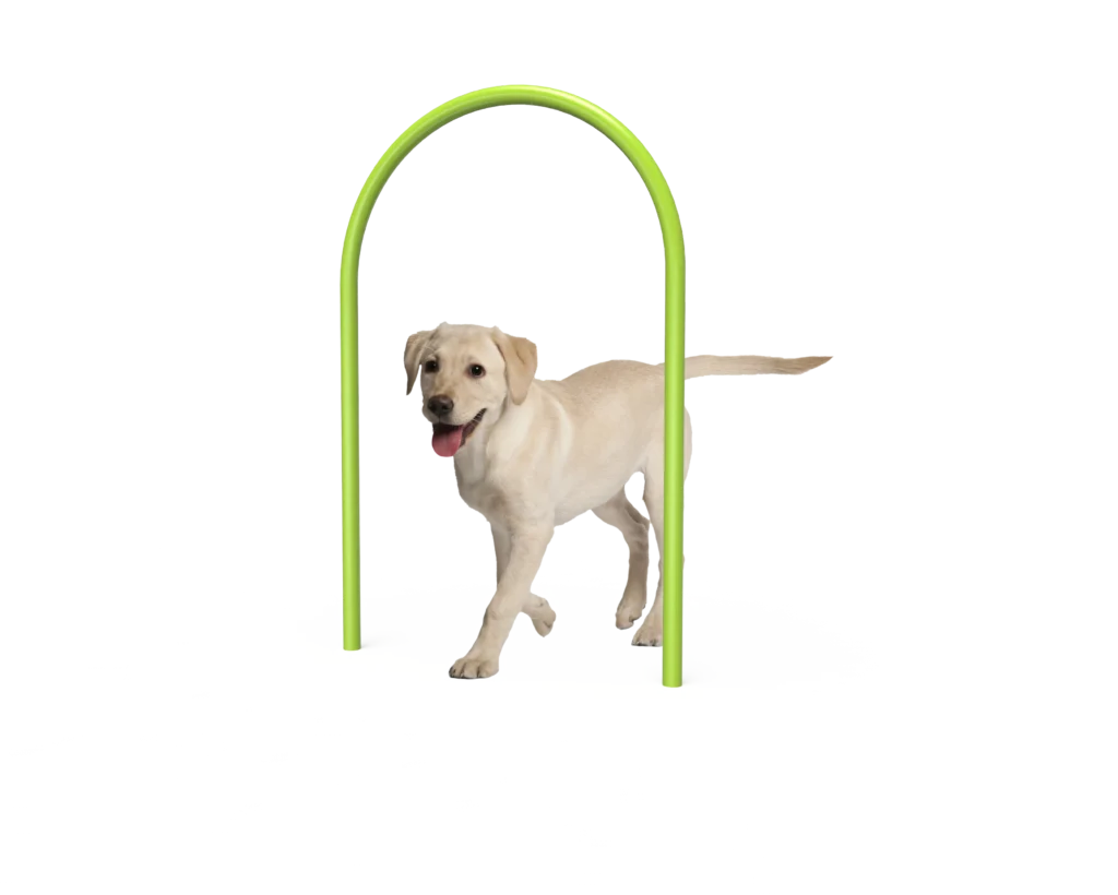Dog Large Loop (MRDP02)