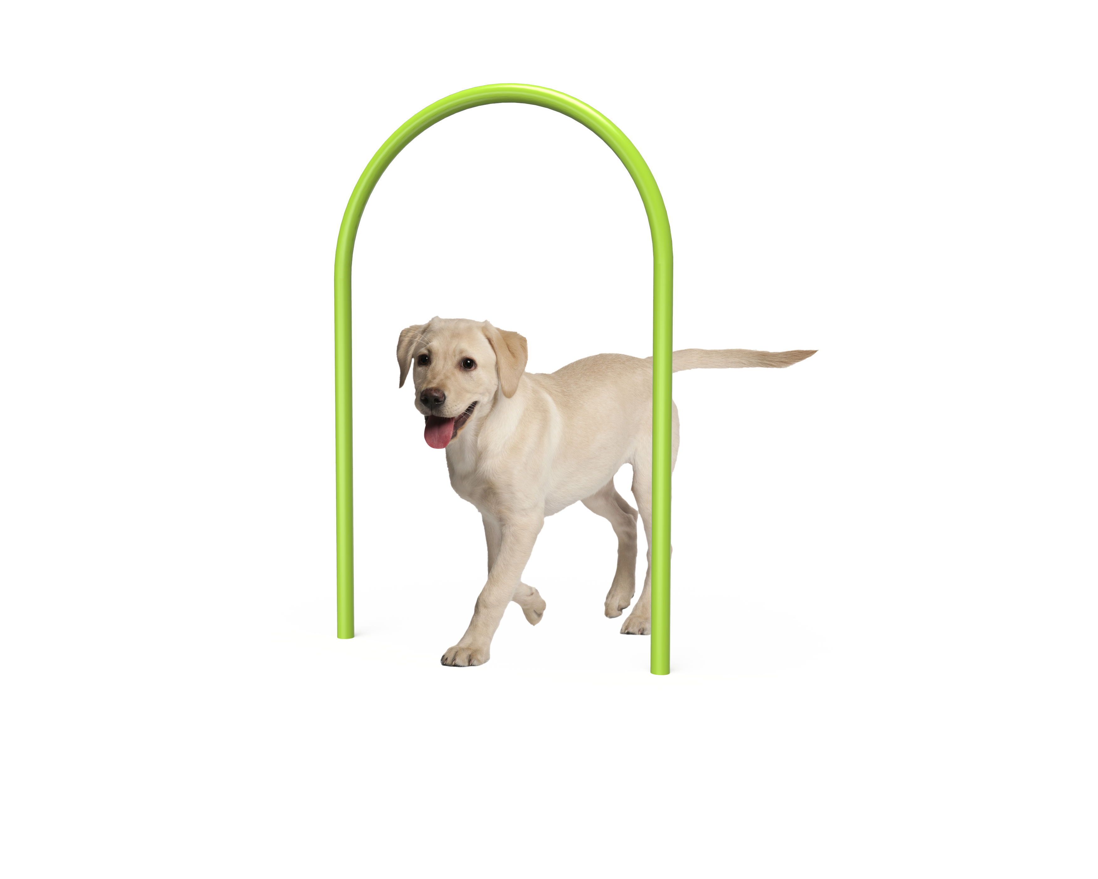 Dog Large Loop (MRDP02)