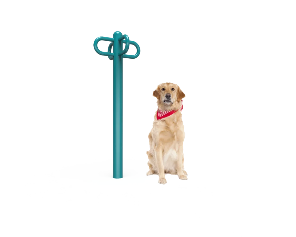 Dog Leash Rack (MRDP12)