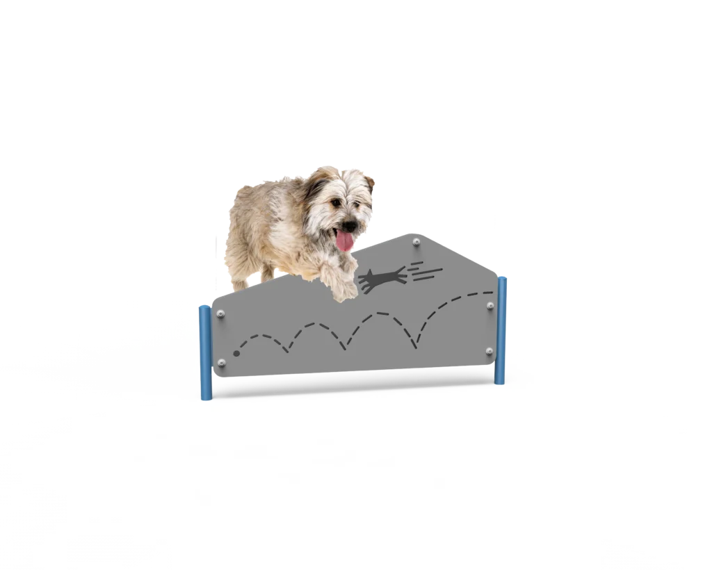Dog Pentagon Hurdle (MRDP05)