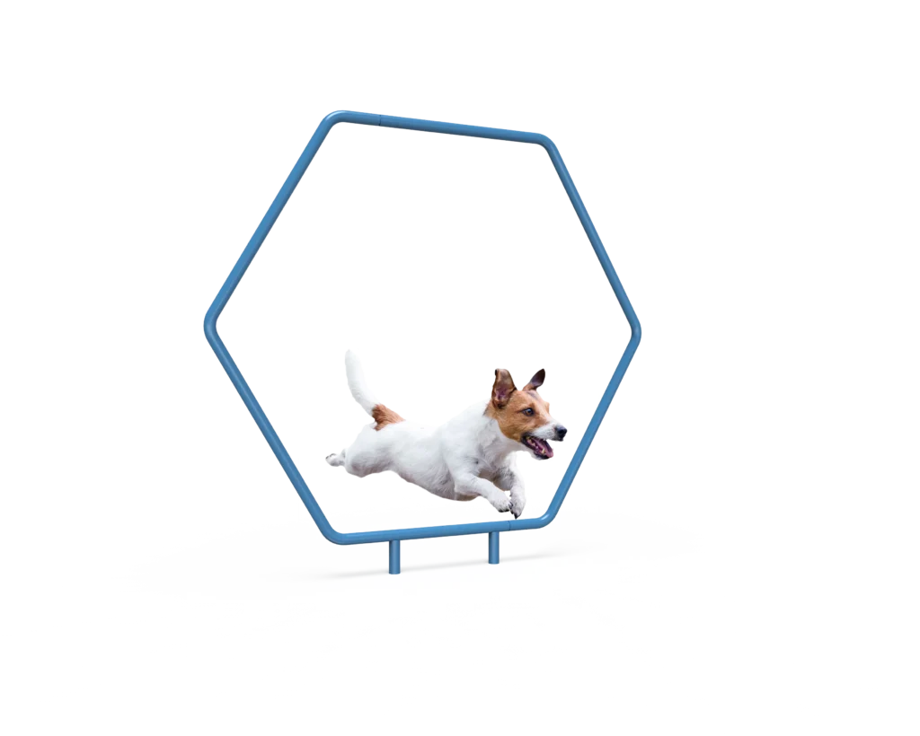 Dog Single Hoop (MRDP10)