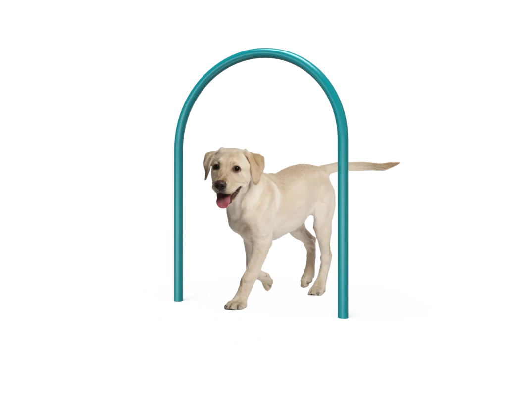 Dog Small Loop (MRDP01)