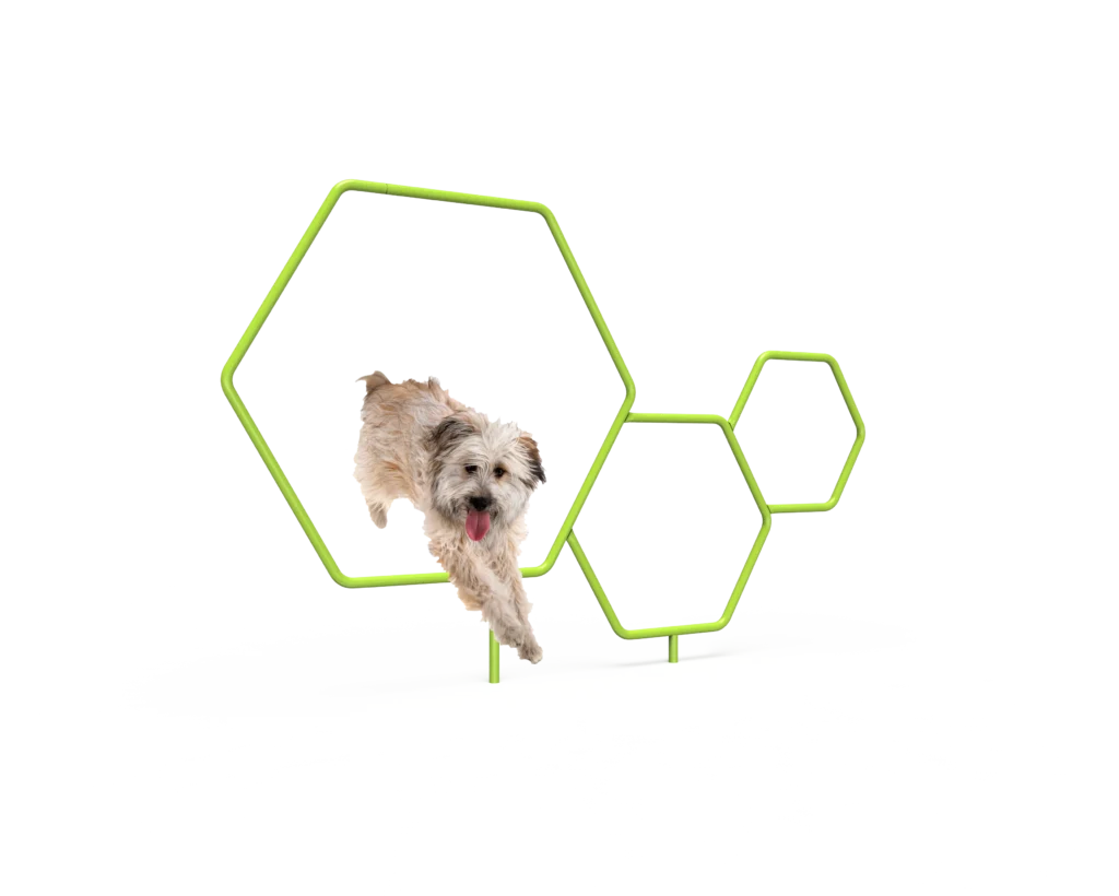 Dog Triple Hoops (MRDP11)