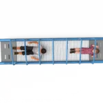 Momentum Corridor (4535)