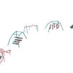 Fitness Challenge (454S007)