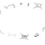 Fitness Challenge (454S009)