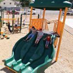 Commercial flippo gator slide