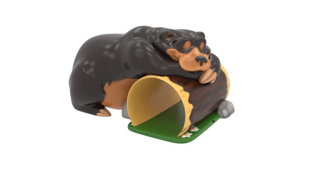Black Bear Tunnel Climber